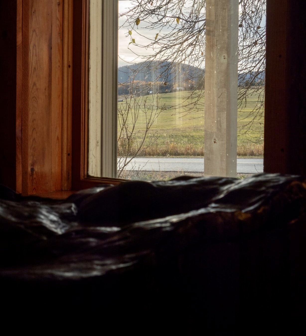 fe65c5c6-d1ae-4e6f-93e6-55d0df7229f7